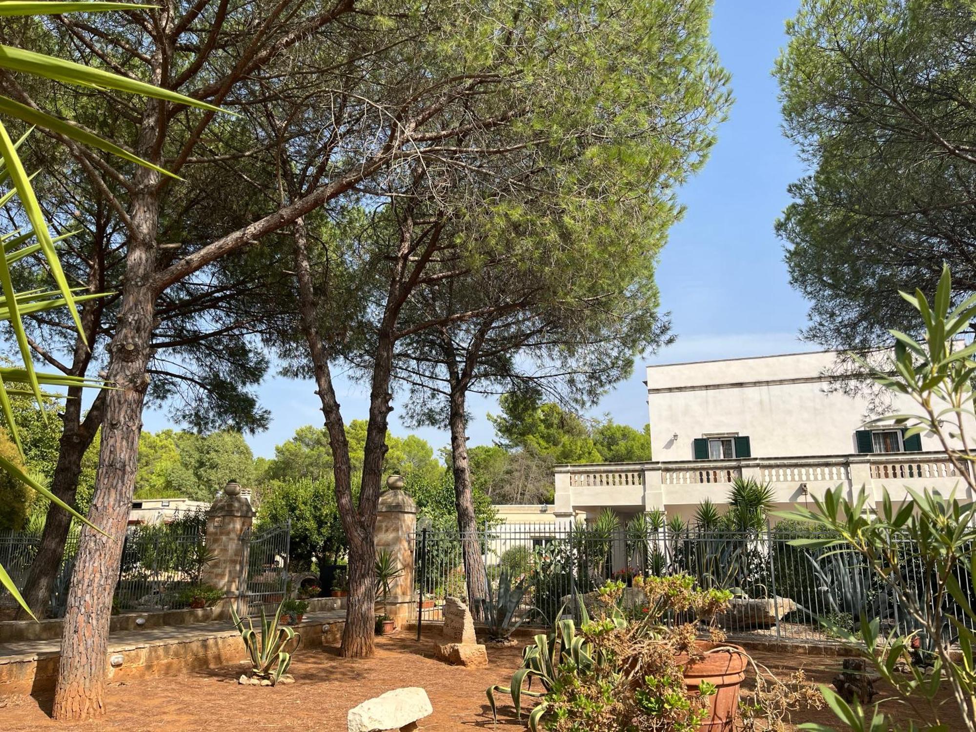 Masseria La Camardia Sava Exteriör bild