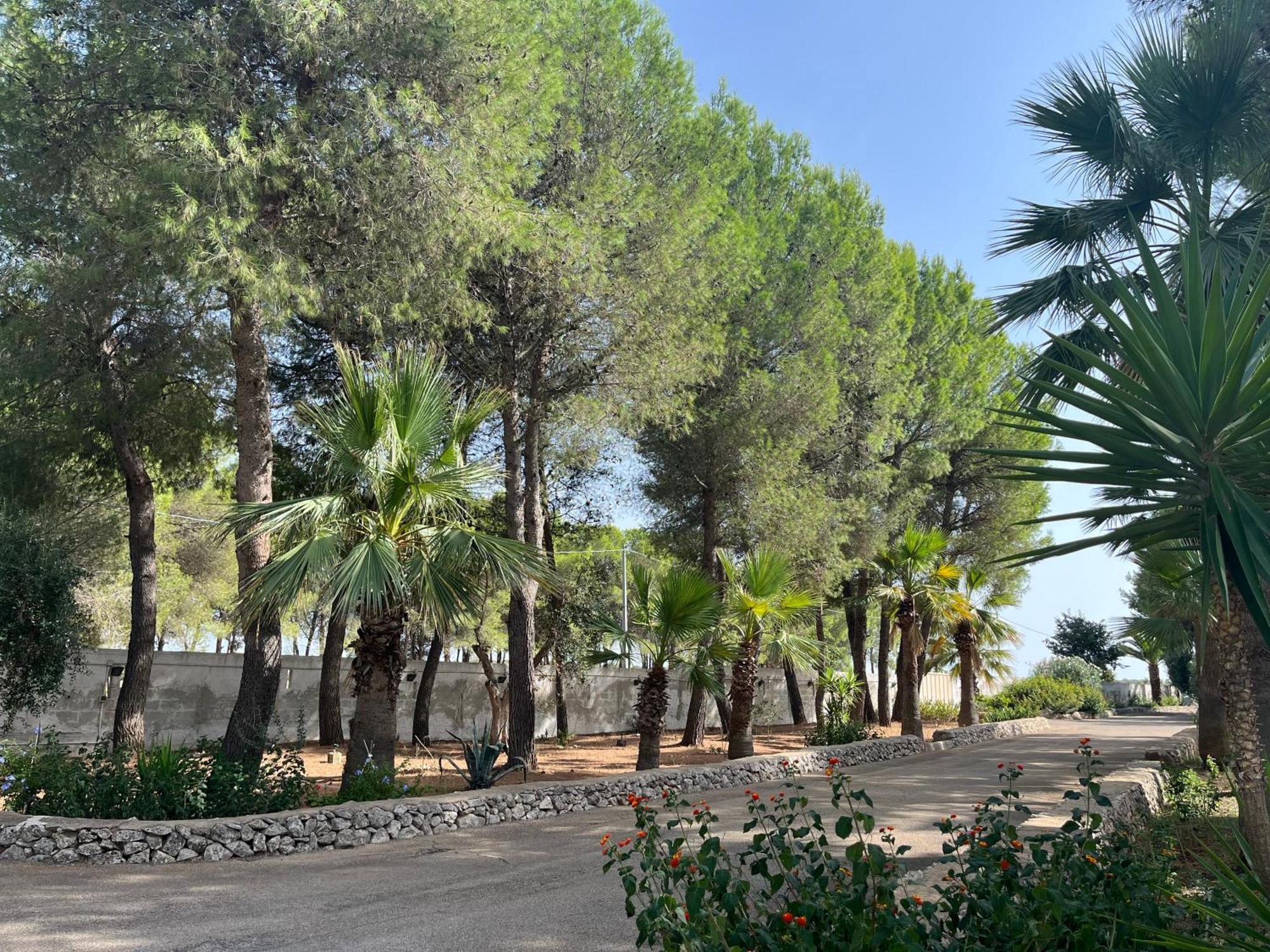 Masseria La Camardia Sava Exteriör bild