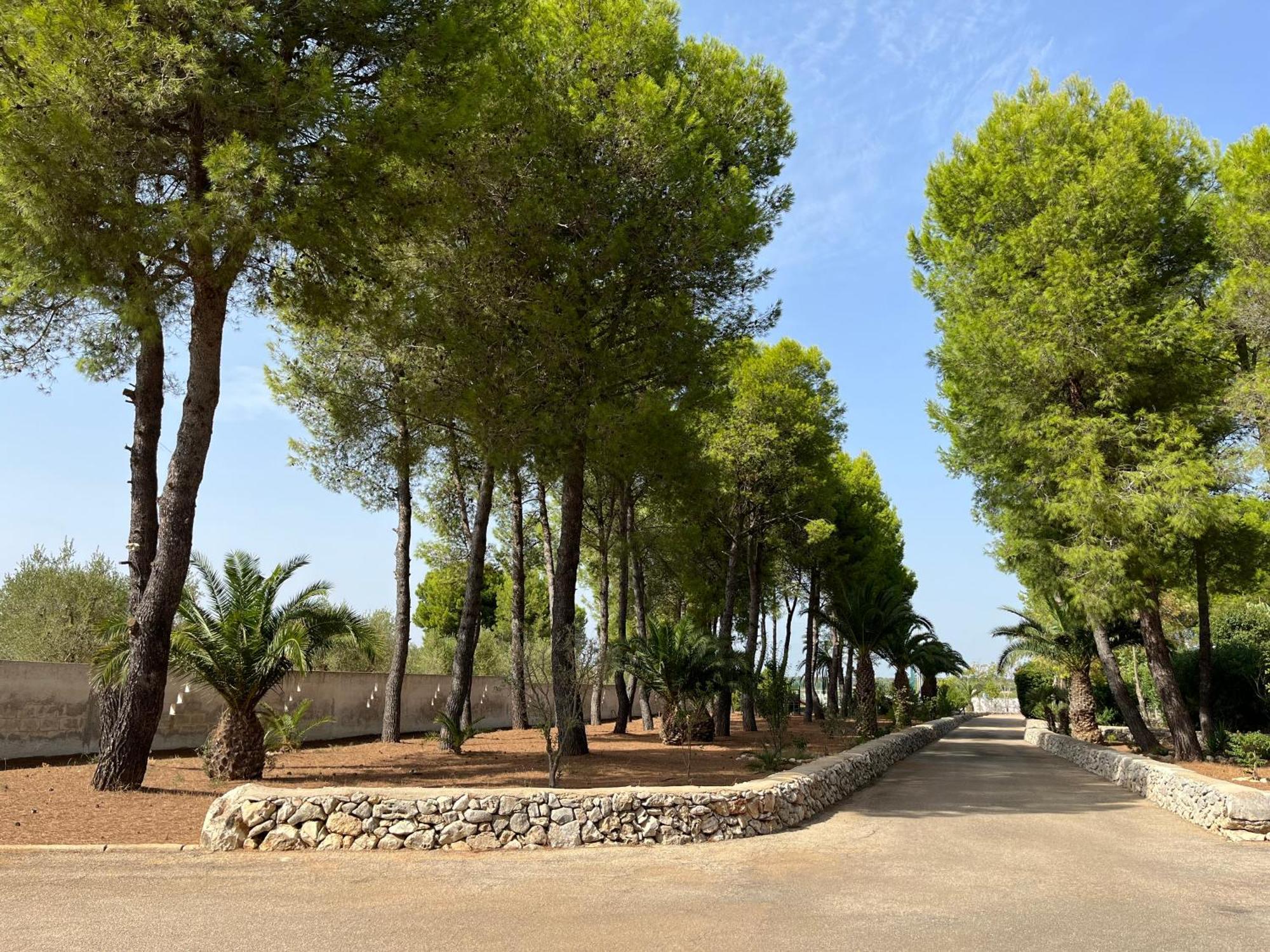 Masseria La Camardia Sava Exteriör bild