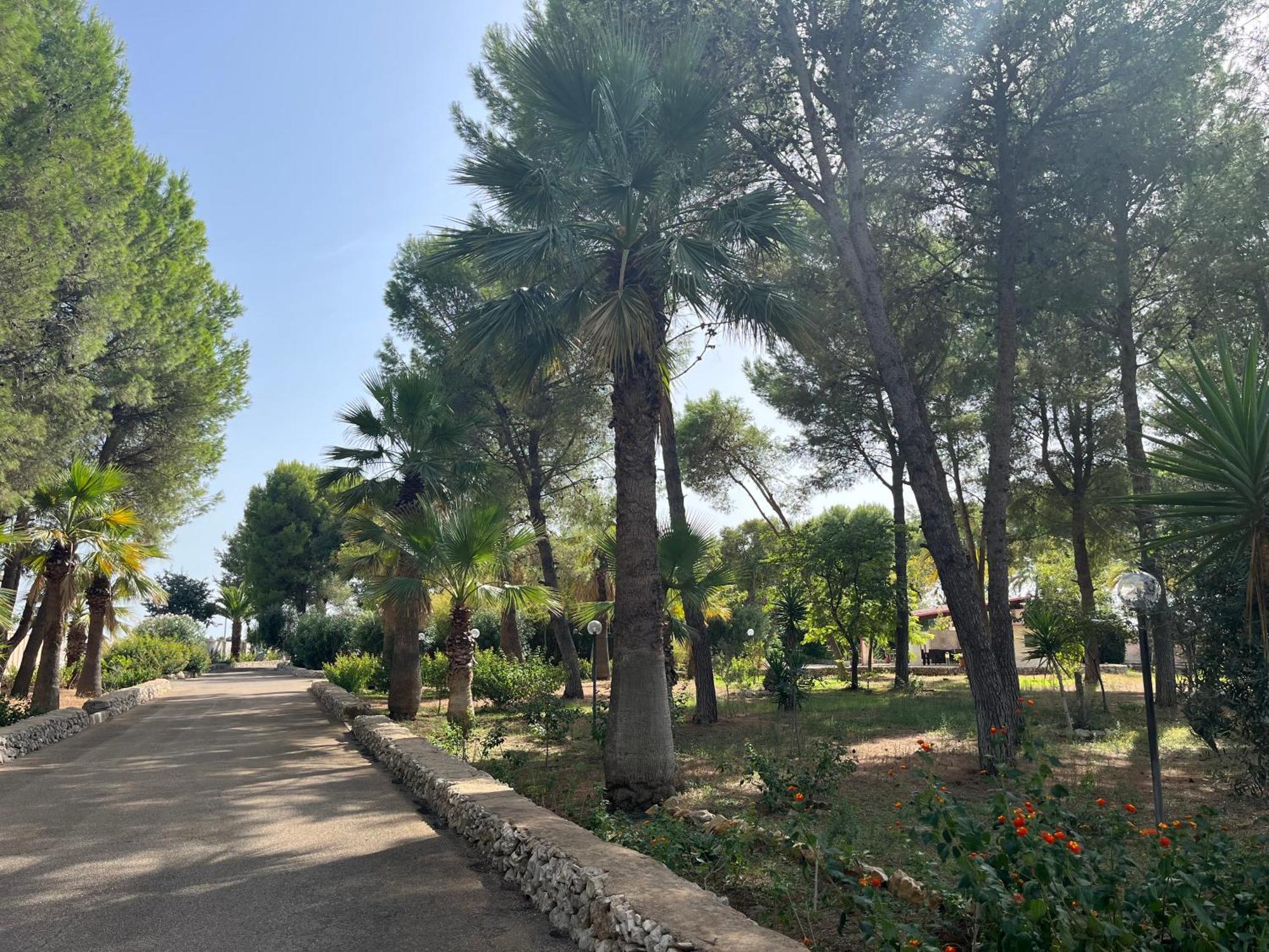 Masseria La Camardia Sava Exteriör bild