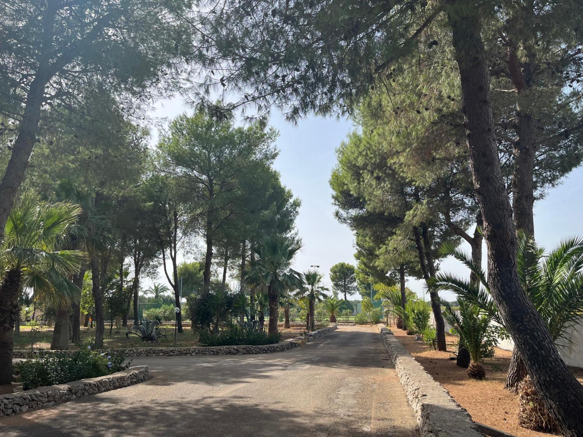 Masseria La Camardia Sava Exteriör bild