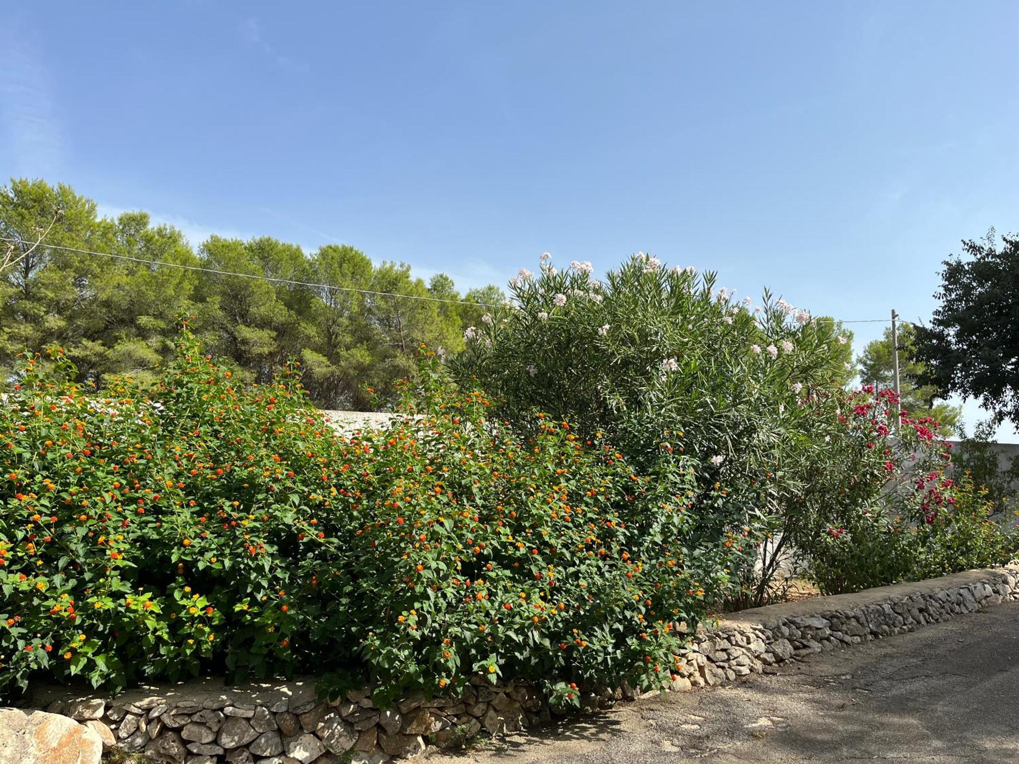 Masseria La Camardia Sava Exteriör bild