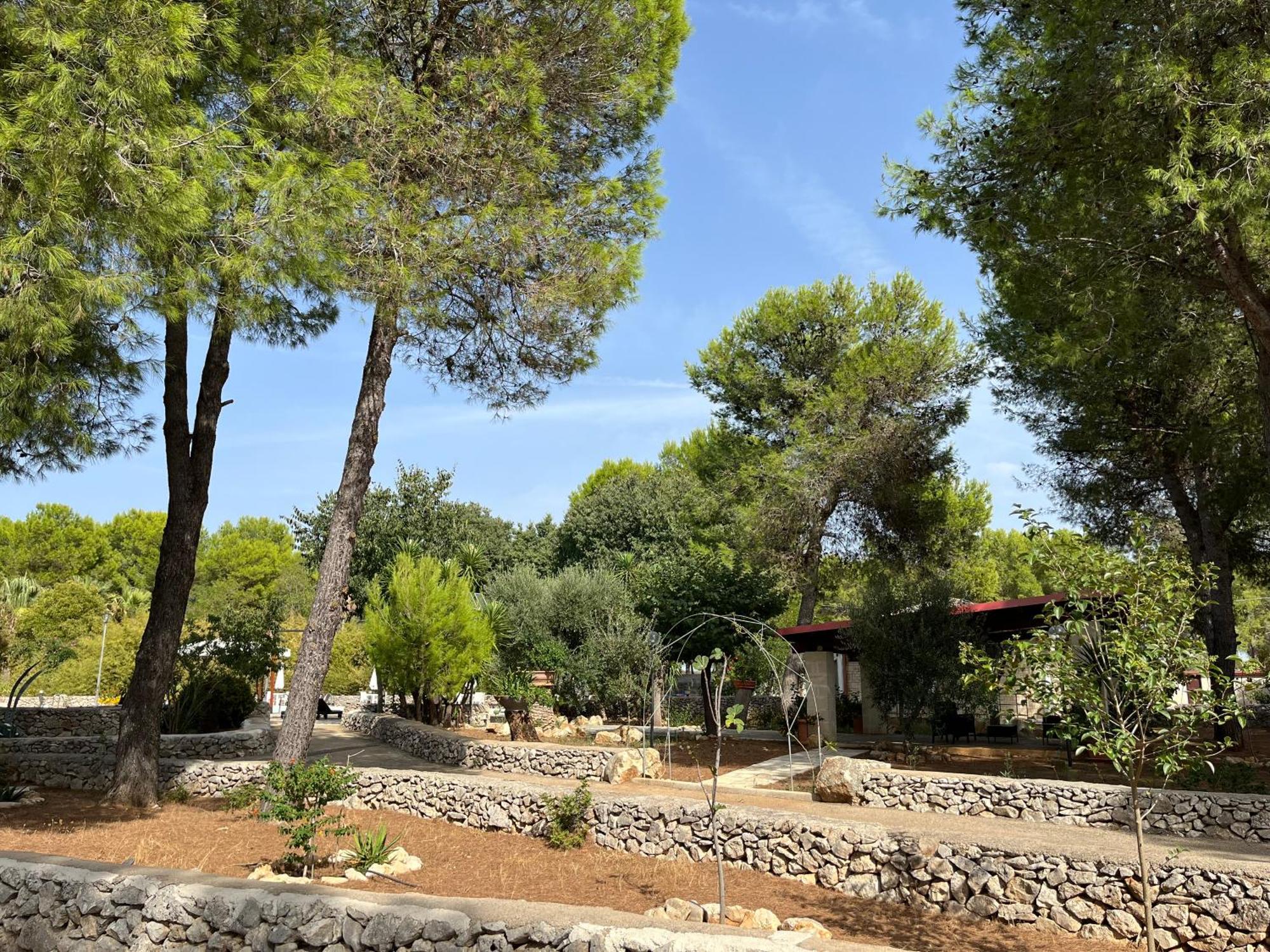 Masseria La Camardia Sava Exteriör bild