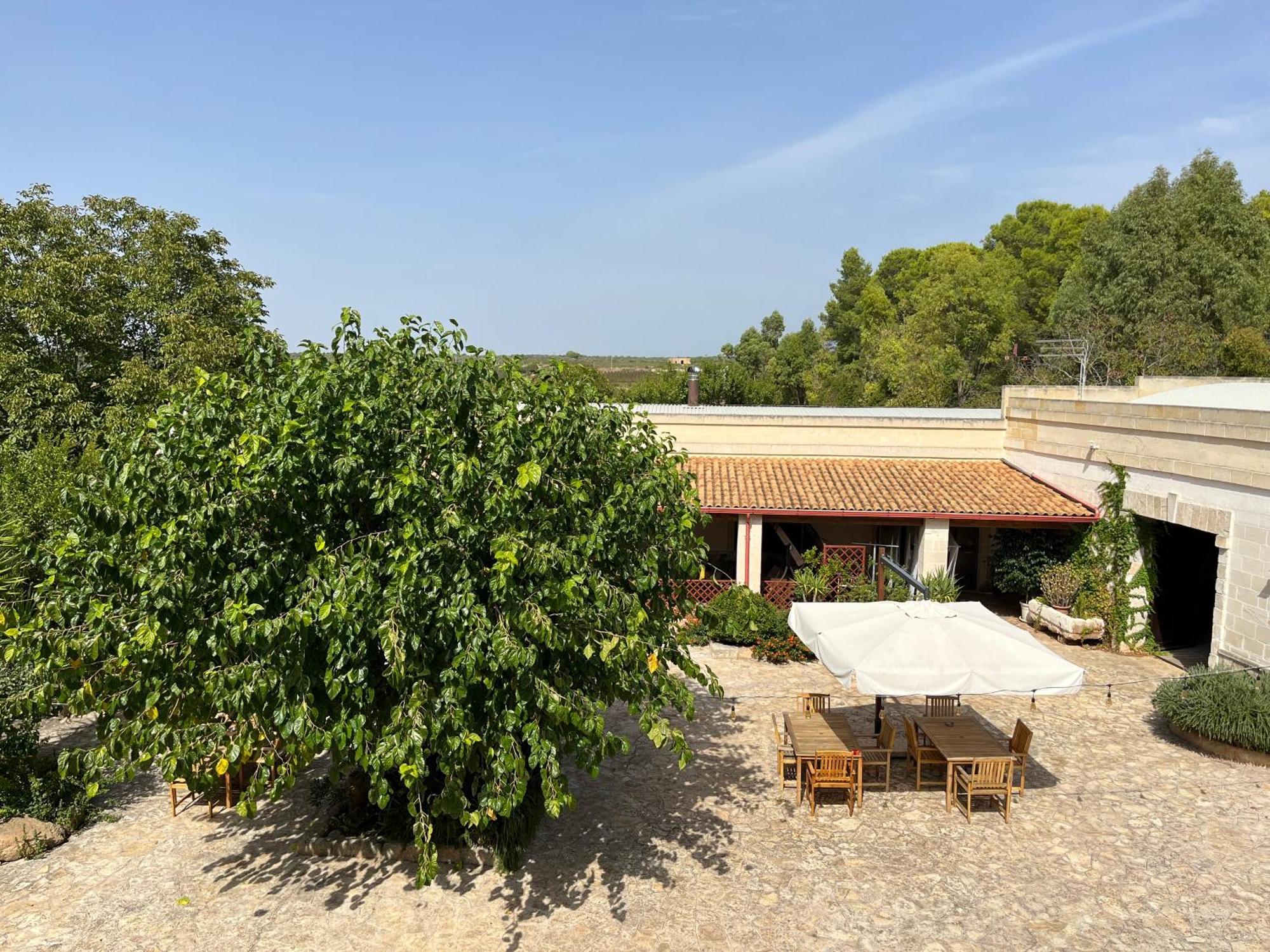 Masseria La Camardia Sava Exteriör bild