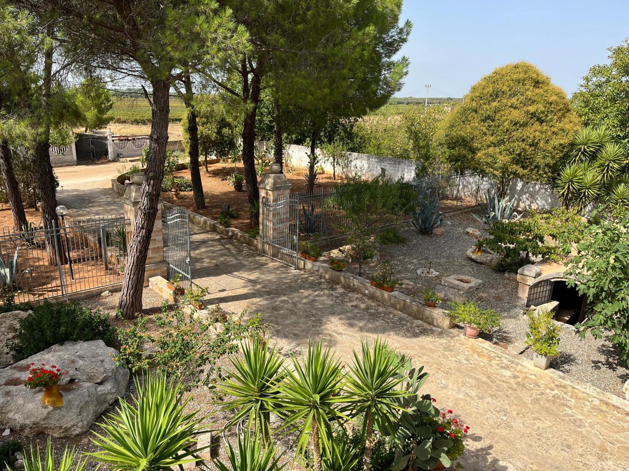 Masseria La Camardia Sava Exteriör bild