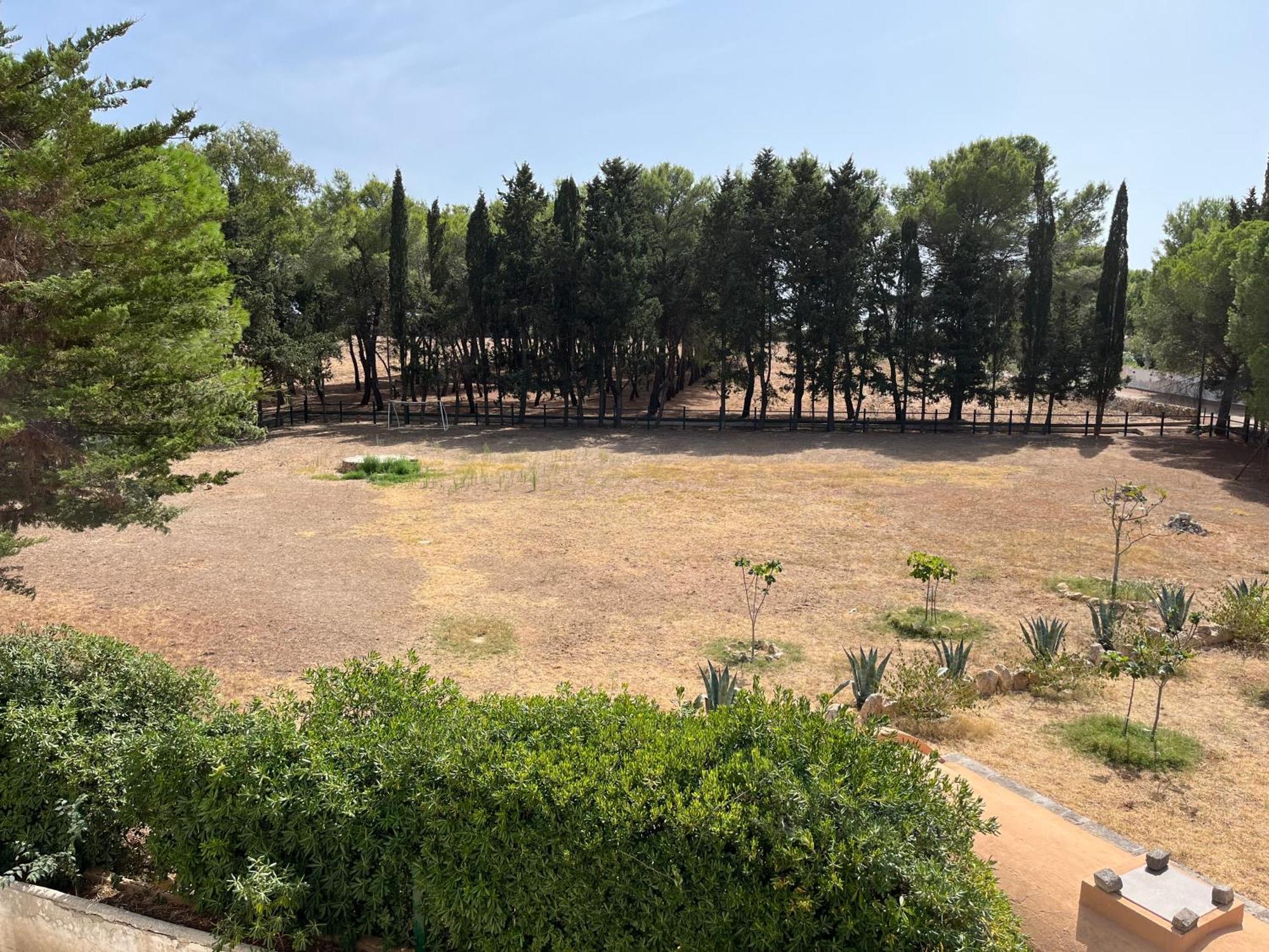 Masseria La Camardia Sava Exteriör bild