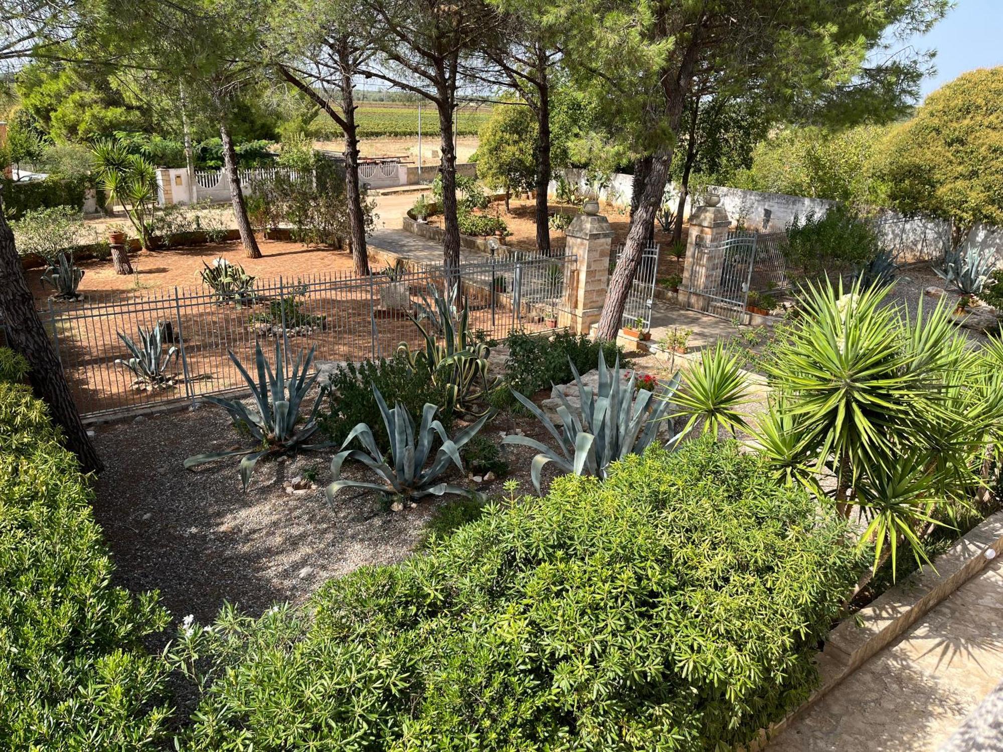 Masseria La Camardia Sava Exteriör bild